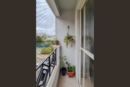 Varanda da Sala de apartamento para alugar com 3 quartos, 76m² em Baeta Neves, São Bernardo do Campo