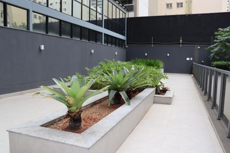 Studio para alugar com 29m², 1 quarto e sem vagaÁrea de Convivência