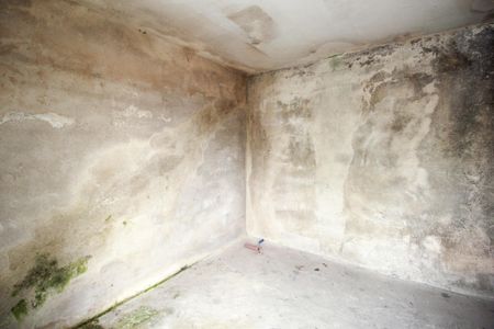 Casa à venda com 100m², 3 quartos e 4 vagas Casa à venda com 100m², 3 quartos e 4 vagasEdicula