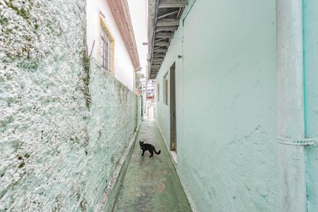 Casa para alugar com 40m², 1 quarto e sem vaga Casa para alugar com 40m², 1 quarto e sem vagaQuintal