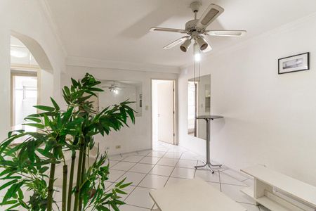 Sala de apartamento para alugar com 1 quarto, 45m² em Santa Cecilia, São Paulo