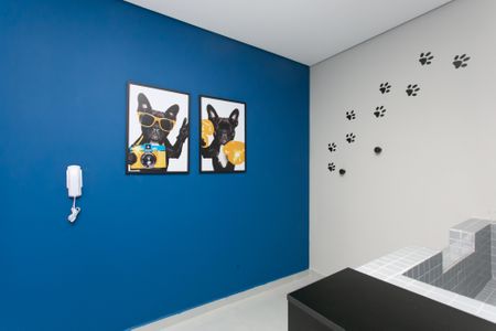 Apartamento para alugar com 32m², 2 quartos e sem vaga Apartamento para alugar com 32m², 2 quartos e sem vagaPet Care