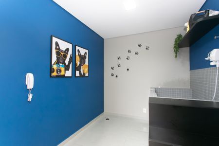 Apartamento para alugar com 32m², 2 quartos e sem vaga Apartamento para alugar com 32m², 2 quartos e sem vagaPet Care