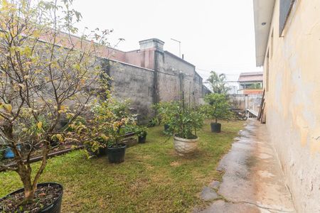 Casa para alugar com 261m², 3 quartos e 4 vagasQuintal