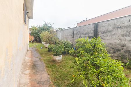 Casa para alugar com 261m², 3 quartos e 4 vagasQuintal