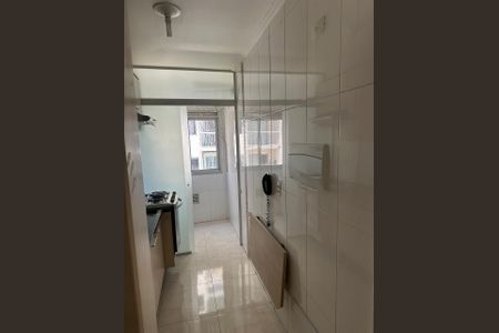 Cozinha de apartamento para alugar com 2 quartos, 45m² em Vila Homero Thon, Santo André