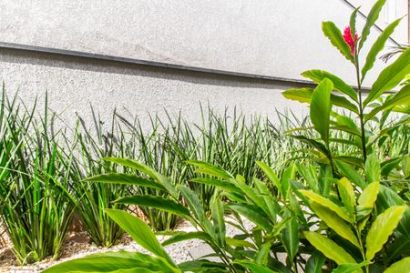 Casa de condomínio à venda com 280m², 4 quartos e 4 vagasVista da Suíte