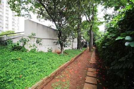 Apartamento para alugar com 55m², 1 quarto e 1 vaga Apartamento para alugar com 55m², 1 quarto e 1 vagaÁrea comum