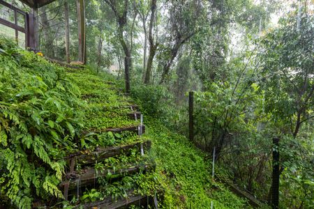 Casa para alugar com 115m², 3 quartos e 2 vagasVista da Porta da Sala 2 