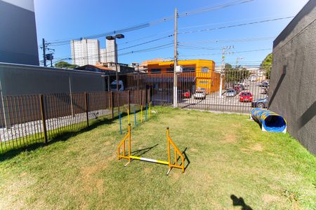 Apartamento para alugar com 24335m², 1 quarto e sem vagaEspaço Pet