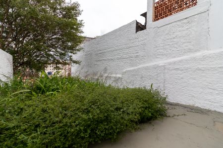 Casa para alugar com 250m², 3 quartos e sem vagaQuintal e Jardim