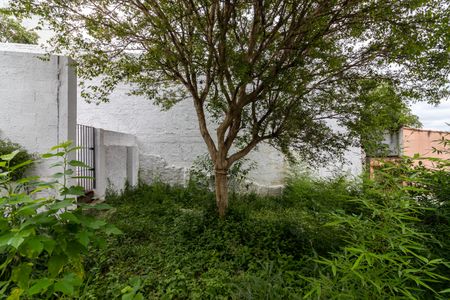 Casa para alugar com 250m², 3 quartos e sem vagaQuintal e Jardim