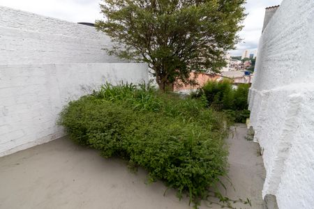 Casa para alugar com 250m², 3 quartos e sem vagaQuintal e Jardim