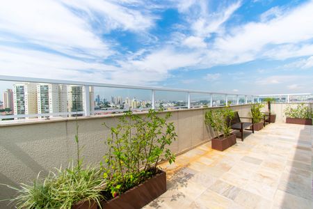 Studio para alugar com 33m², 1 quarto e sem vaga Studio para alugar com 33m², 1 quarto e sem vagaÁrea comum