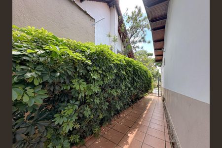 Casa para alugar com 800m², 4 quartos e 2 vagasQuintal