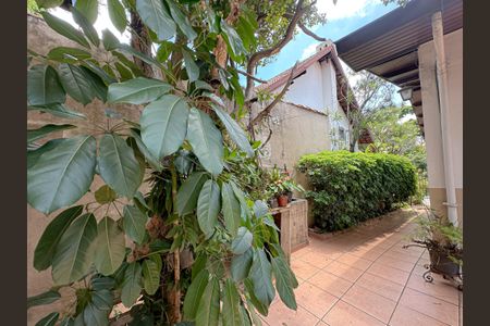 Casa para alugar com 800m², 4 quartos e 2 vagasQuintal