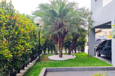 Apartamento para alugar com 56m², 2 quartos e 1 vaga Apartamento para alugar com 56m², 2 quartos e 1 vagaJardim