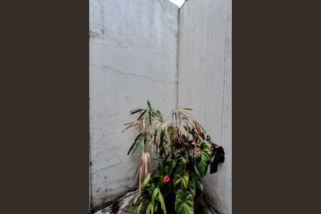 Casa para alugar com 90m², 2 quartos e 1 vaga Casa para alugar com 90m², 2 quartos e 1 vagaVaranda da Suíte