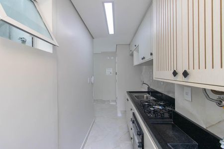Apartamento para alugar com 60m², 3 quartos e 1 vaga Apartamento para alugar com 60m², 3 quartos e 1 vagaCozinha e Área de Serviço