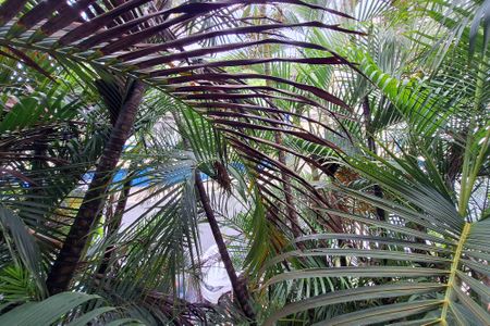 Studio para alugar com 40m², 1 quarto e sem vagaQuarto 1