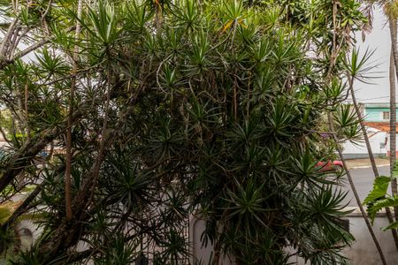 Sala de Estar - Vista de casa à venda com 4 quartos, 360m² em Água Fria, São Paulo