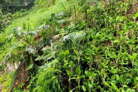 Apartamento à venda com 200m², 4 quartos e 3 vagas