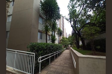 Apartamento para alugar com 70m², 3 quartos e 1 vaga Apartamento para alugar com 70m², 3 quartos e 1 vagaÁrea comum