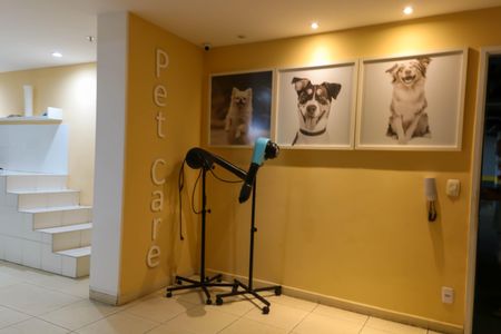 Apartamento para alugar com 55m², 3 quartos e 1 vaga Apartamento para alugar com 55m², 3 quartos e 1 vagaEspaço Pet