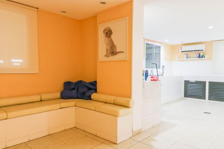 Apartamento para alugar com 55m², 3 quartos e 1 vaga Apartamento para alugar com 55m², 3 quartos e 1 vagaEspaço Pet