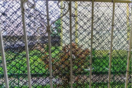 Vista do Quarto 1 de apartamento para alugar com 2 quartos, 50m² em Parada de Lucas, Rio de Janeiro