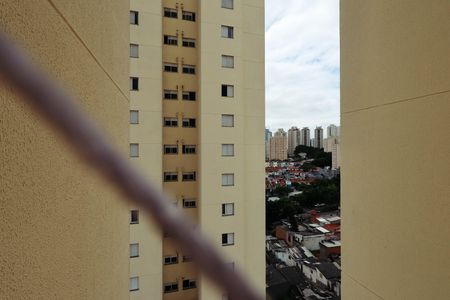 Apartamento para alugar com 74m², 3 quartos e 2 vagasÁrea de Serviço