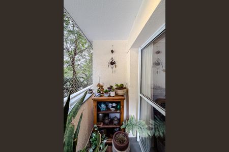 Varanda da Sala de apartamento à venda com 3 quartos, 92m² em Cursino, São Paulo