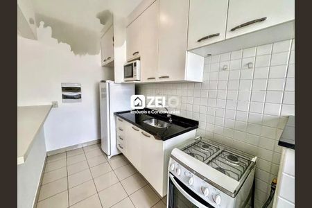 Foto 12 de apartamento à venda com 2 quartos, 60m² em Cambuí, Campinas