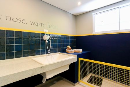 Apartamento para alugar com 26m², 1 quarto e sem vaga Apartamento para alugar com 26m², 1 quarto e sem vagaÁrea Pet