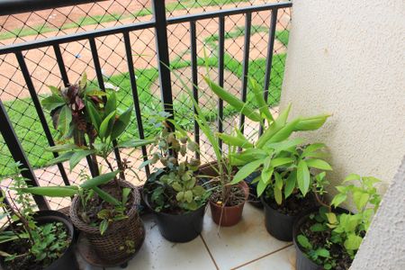 Apartamento para alugar com 44m², 2 quartos e sem vagaVaranda