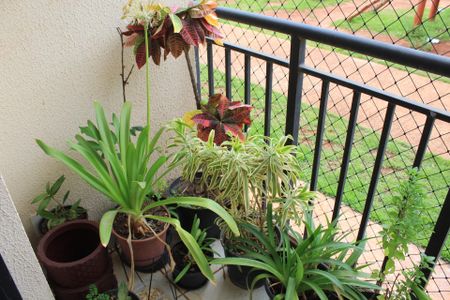 Apartamento para alugar com 44m², 2 quartos e sem vagaVaranda