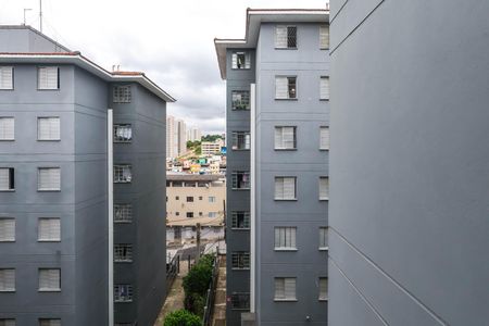 Apartamento para alugar com 50m², 2 quartos e sem vagaCozinha