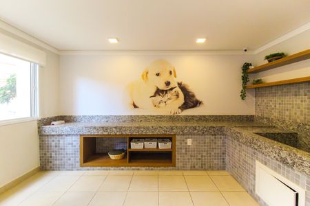 Apartamento para alugar com 32m², 2 quartos e sem vaga Apartamento para alugar com 32m², 2 quartos e sem vagaEspaço Pet