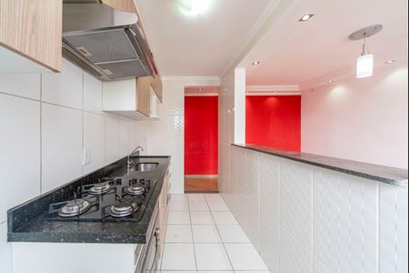 Apartamento para alugar com 45m², 2 quartos e 1 vaga Apartamento para alugar com 45m², 2 quartos e 1 vagaCozinha