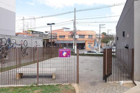 Apartamento para alugar com 42m², 2 quartos e sem vaga Apartamento para alugar com 42m², 2 quartos e sem vagaÁrea Pet