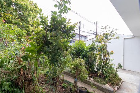 Vista do Quarto 1 de casa para alugar com 3 quartos, 160m² em Sítio Cercado, Curitiba