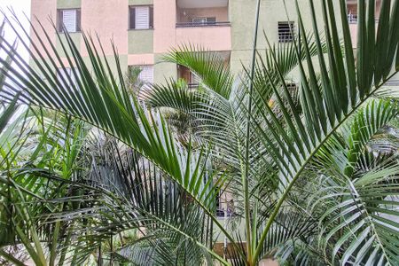 Varanda da Sala - VISTA de apartamento à venda com 2 quartos, 57m² em Santa Terezinha, São Bernardo do Campo