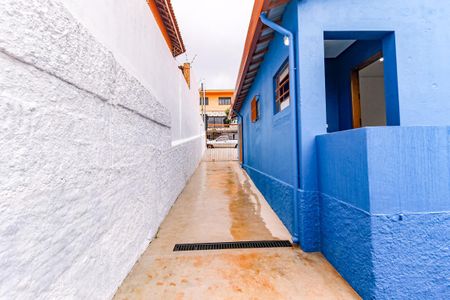 Casa para alugar com 249m², 3 quartos e 7 vagasQuintal