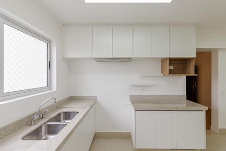 Apartamento à venda com 260m², 3 quartos e 2 vagasCozinha