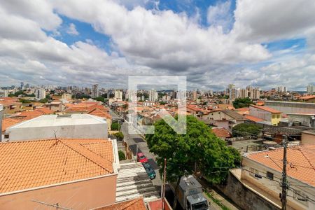 Apartamento para alugar com 2 quartos, 41m² em Vila Isolina Mazzei, São Paulo