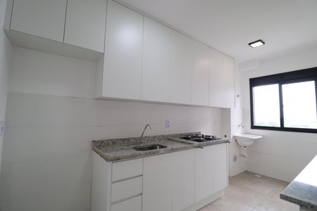 Apartamento para alugar com 50m², 2 quartos e 1 vagaCozinha