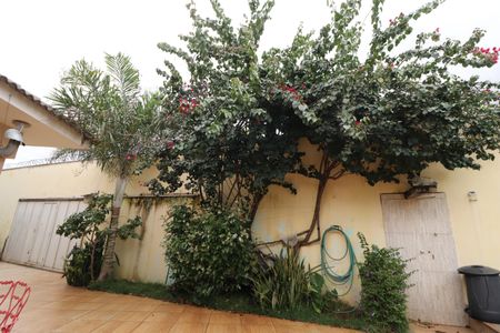 Casa para alugar com 390m², 3 quartos e 2 vagasQuintal