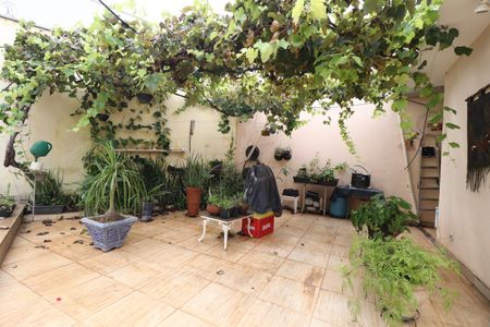 Casa para alugar com 390m², 3 quartos e 2 vagasQuintal