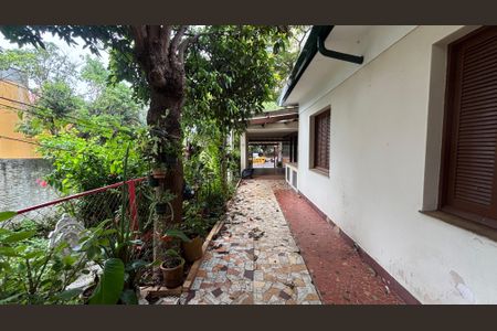 Casa para alugar com 50m², 2 quartos e 2 vagas Casa para alugar com 50m², 2 quartos e 2 vagasQuintal