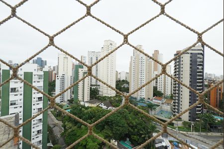 Apartamento para alugar com 3 quartos, 127m² em Jardim Vila Mariana, São Paulo